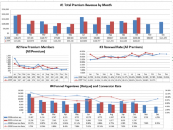 Marketing Analytics: Marketing Dashboard Sample | Part of a client's custom KPI dashboard (pulling data from Google Analytics, internal databases, and financial processor). Blurred to protect client information.